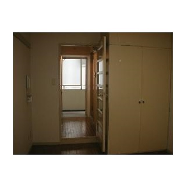 Living and room. Room to plug light