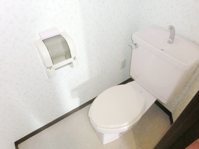 Toilet. Toilet with cleanliness