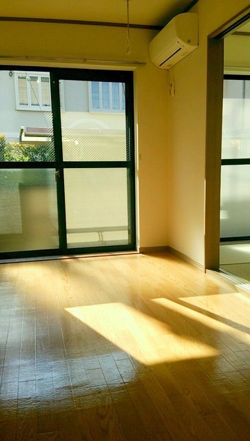 Living and room. Sunny indoor