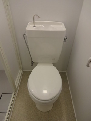 Toilet. Toilet new