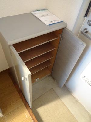 Entrance. Shoe box