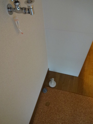 Other room space. Washing machine in the room
