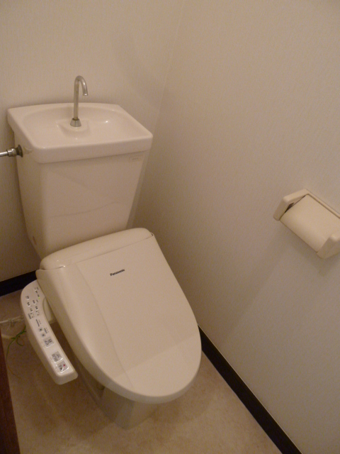 Toilet. Shower toilet