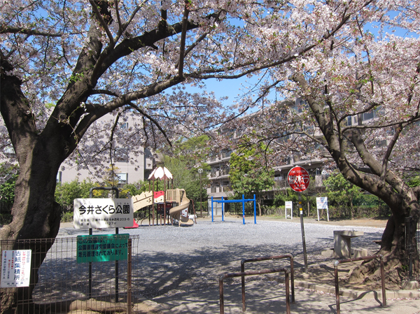 Surrounding environment. Imai Sakura park (about 330m ・ A 5-minute walk)