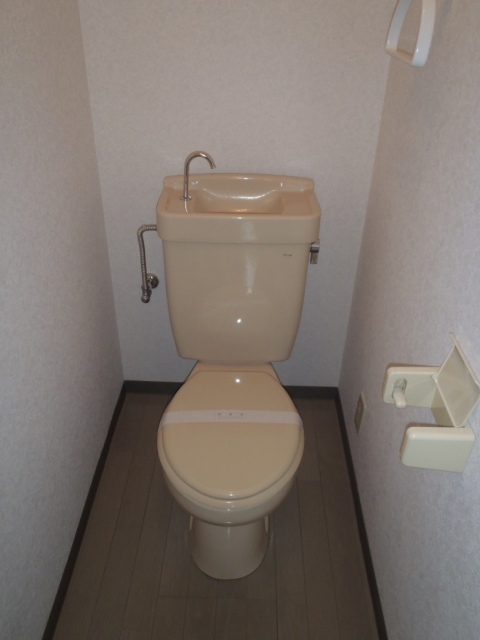 Toilet. Toilet