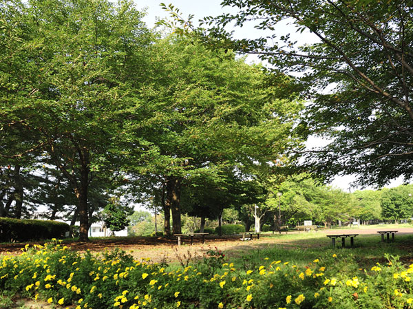 Surrounding environment. Dreamed months Saki park (about 310m / 4-minute walk)