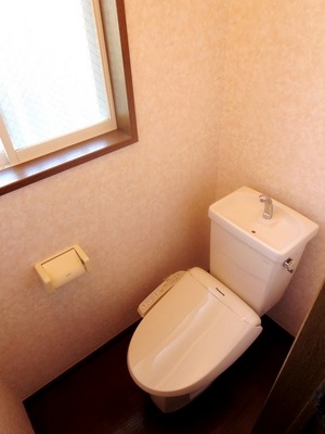 Toilet. Washlet is leaving product has been installed, but.