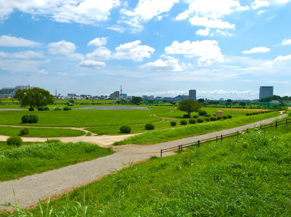 Surrounding environment. Tama green space (19 minutes walk ・ About 1450m)