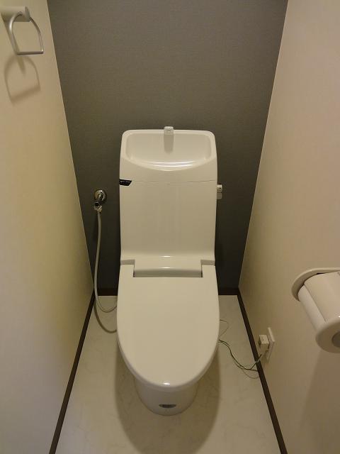 Toilet. Our same apartment construction cases
