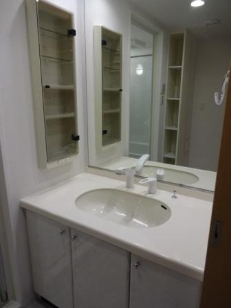 Wash basin, toilet. Vanity with storage space