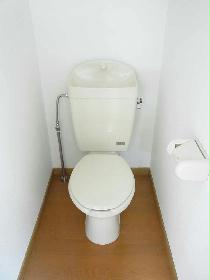 Toilet. Current state priority