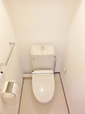 Toilet. It is with cleaning toilet seat
