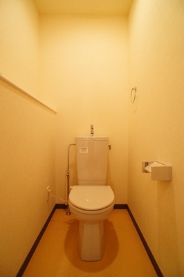 Toilet. It is convenient to the left of the shelf