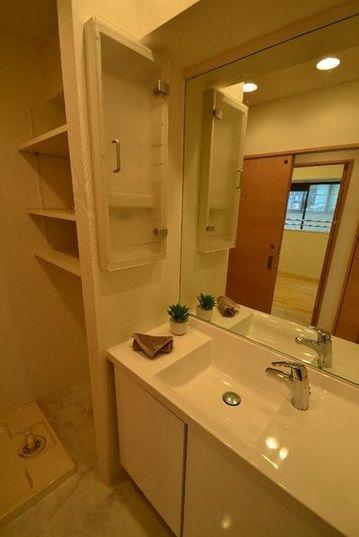 Wash basin, toilet. Vanity shower