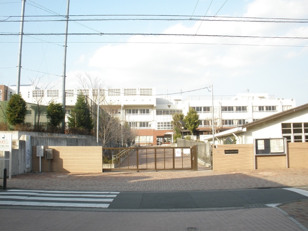 Primary school. Municipal Furuichiba Elementary School Furuichiba 290m to 1-1 (elementary school)