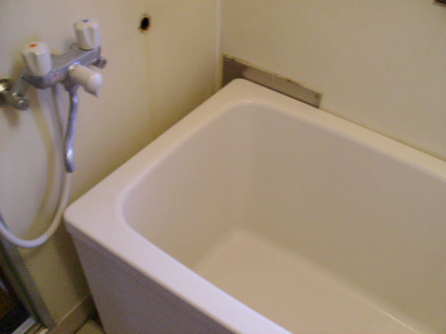 Bath. Reference photograph