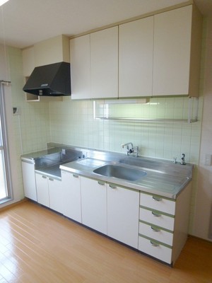 Kitchen. Wide kitchen. Gas stove installation Allowed