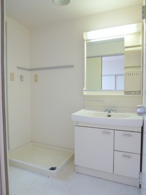 Washroom. Basin space