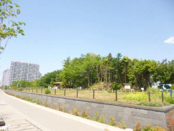 Other local. Shin-Kawasaki ・ Creation of forest