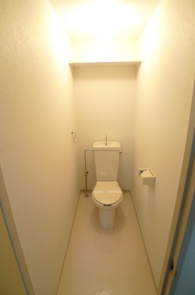 Toilet. Yes toilet shelf