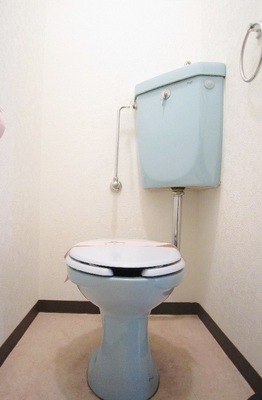 Toilet. Blue vivid toilet.