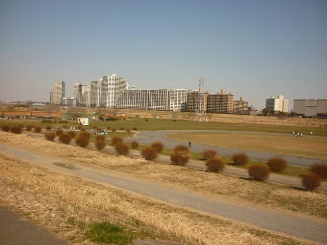 Other Environmental Photo. Tama River 400m to green space