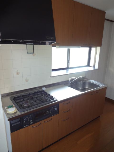 Kitchen. It is quite big closet