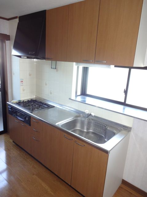 Kitchen. 3-neck of a gas stove