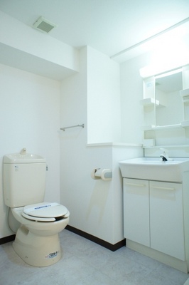Toilet. Wide toilet! It is sharing a room with washroom