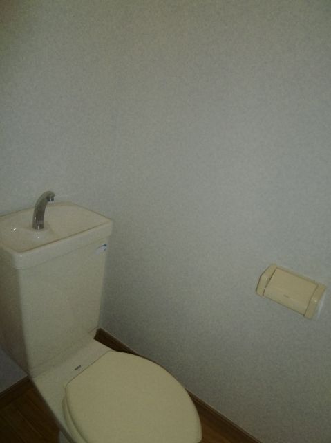 Toilet. There is also a shelf