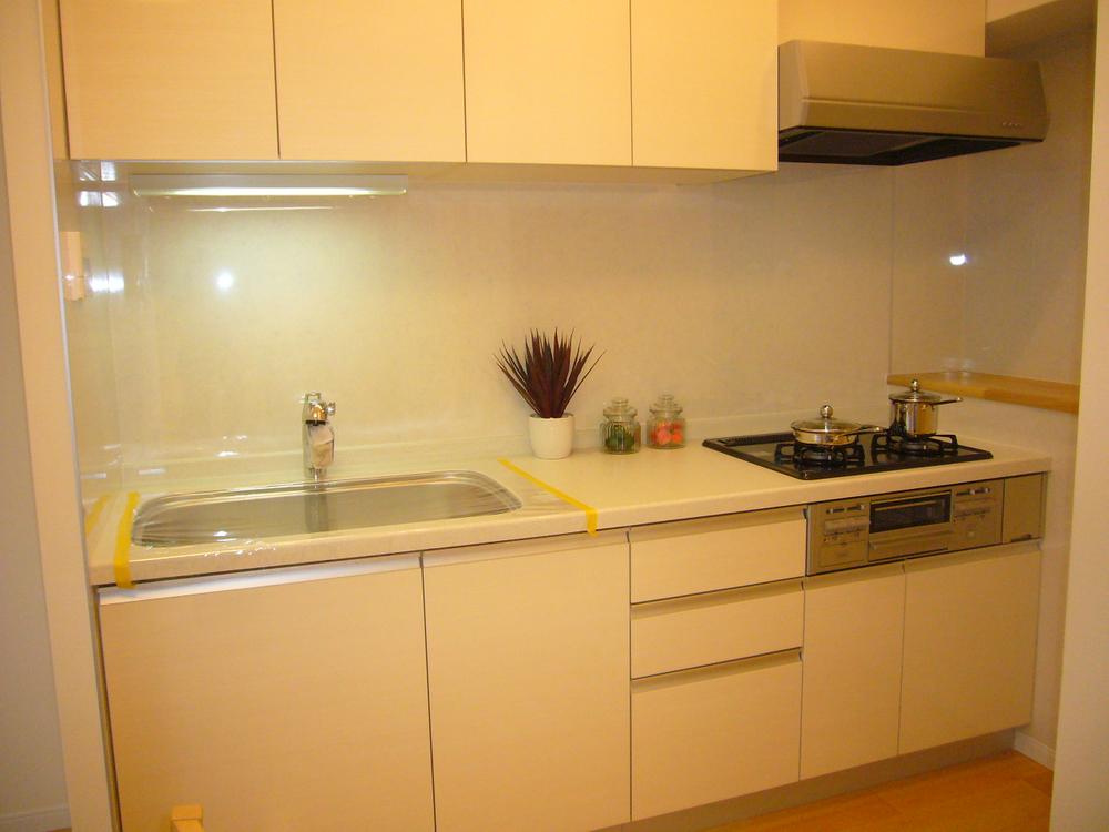 Kitchen. Indoor (12 May 2013) Shooting