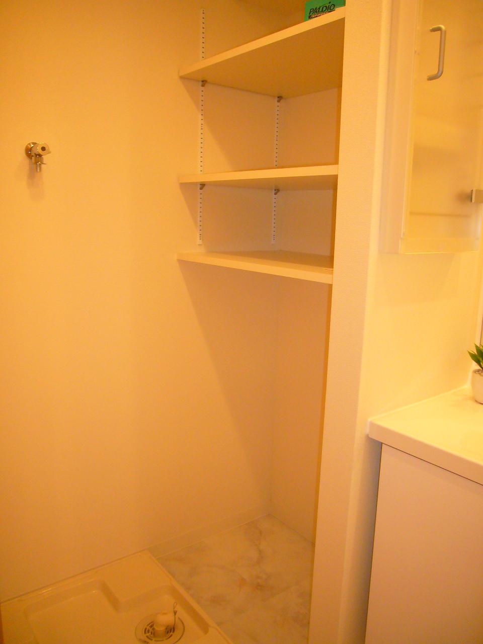 Wash basin, toilet. Indoor (12 May 2013) Shooting