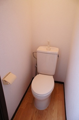 Toilet. After all, bus toilet by! It is recommended for anyone who wants. 