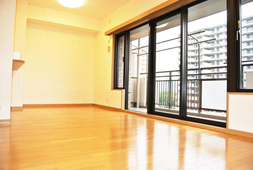 Living. Indoor (11 May 2013) Shooting