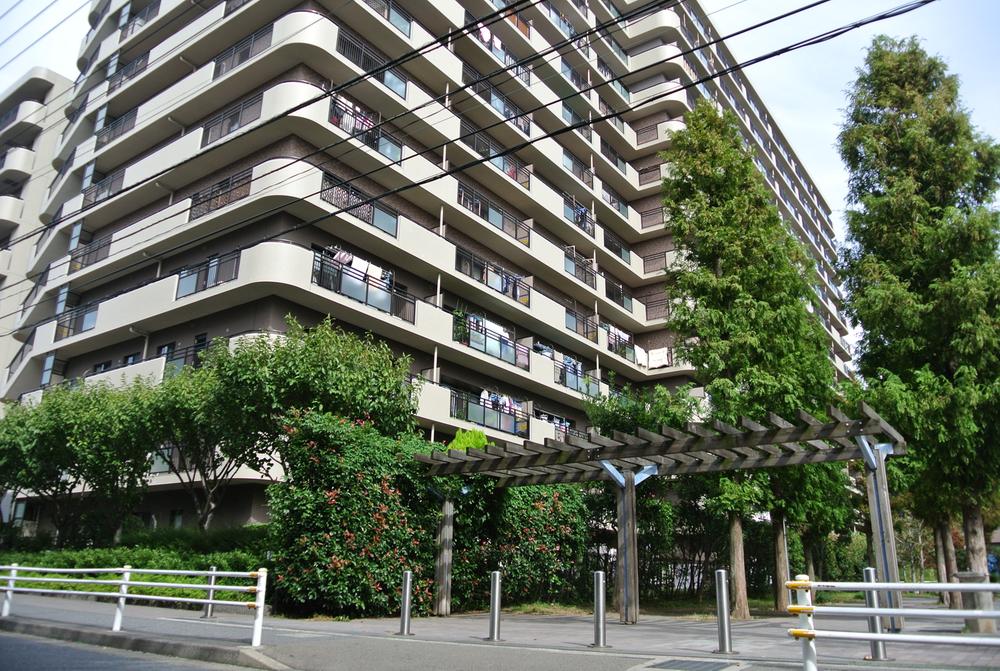 Local appearance photo. Local (11 May 2013) Shooting