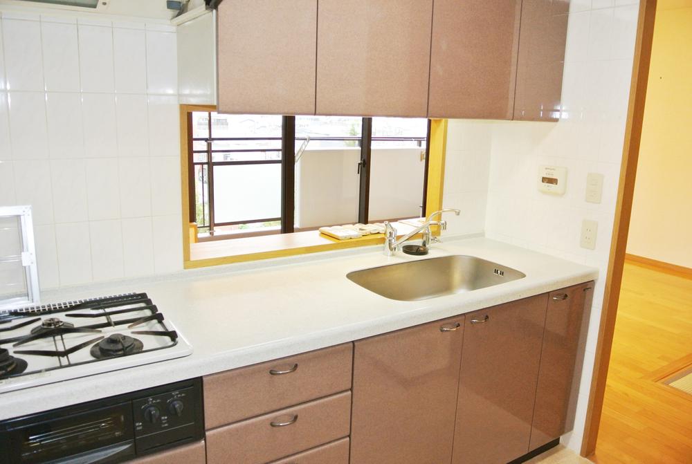 Kitchen. Indoor (11 May 2013) Shooting