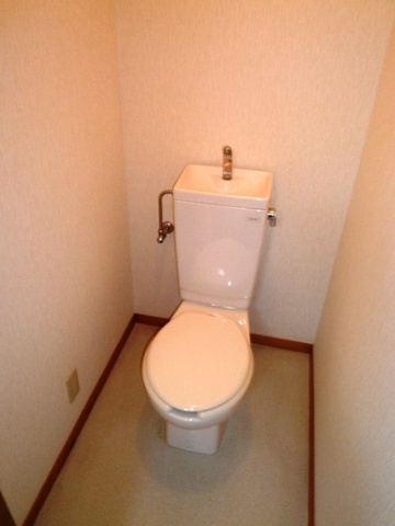 Toilet. Toilet