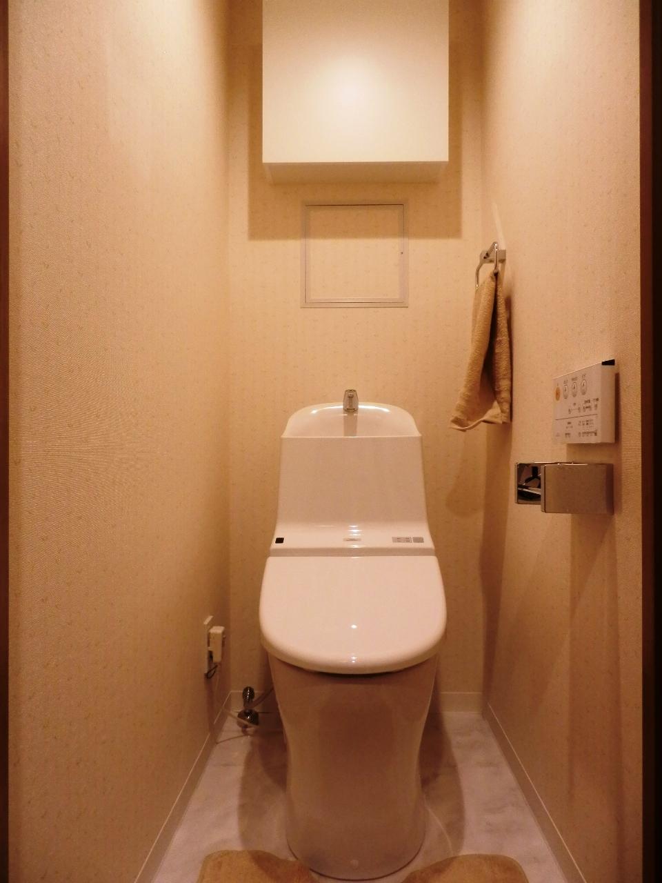 Toilet. Indoor (11 May 2013) Shooting New exchange