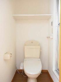 Toilet. Current state priority