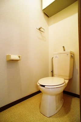 Toilet. There toilet upper receiving
