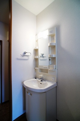 Washroom. Independence is a wash basin