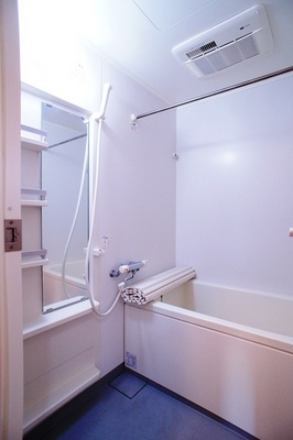 Bath. Bathroom of 1K But spread