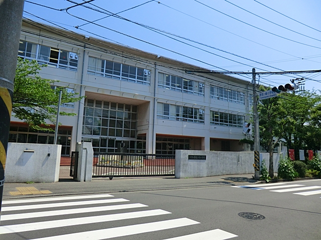 Primary school. 300m to the Kawasaki Municipal dreamed Quai Saki elementary school (elementary school)