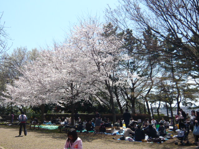 park. 1117m to dream Ke Saki park (park)