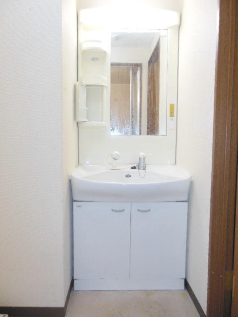 Washroom. With handheld shower independent wash basin