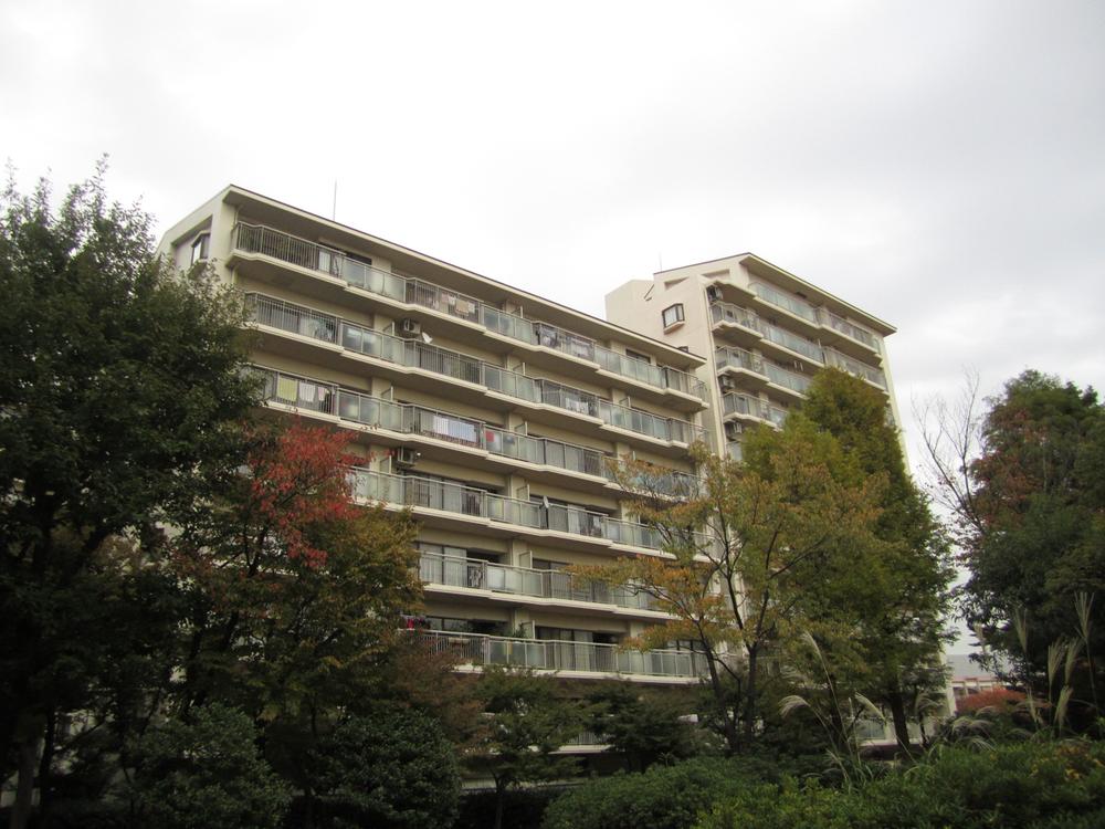 Local appearance photo. Appearance (November 2013) Shooting