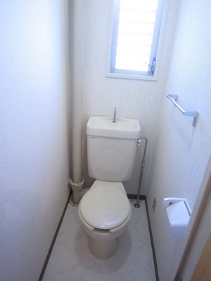 Toilet. Bright have a window to the toilet