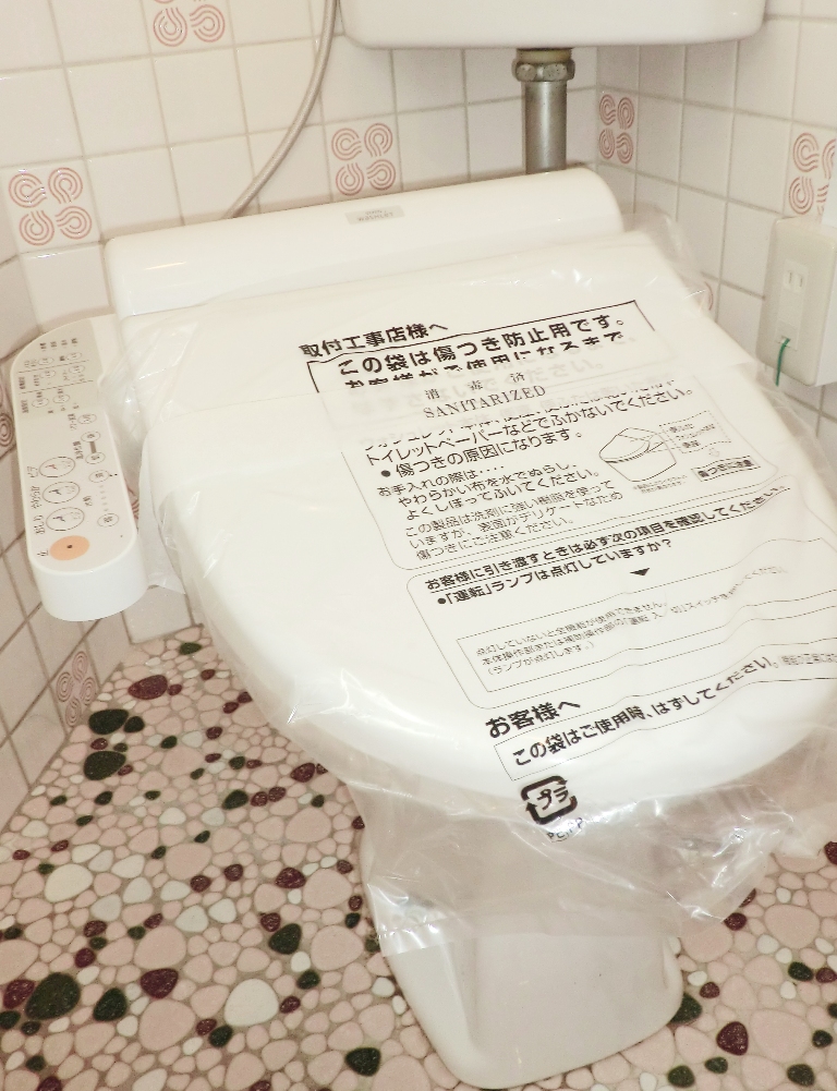 Toilet. Bidet