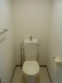 Toilet. Current state priority