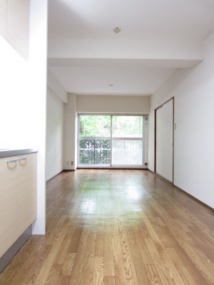 Living and room. South-facing bright living ☆